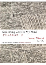 Something Crosses My Mind 有甚么在我心里一过