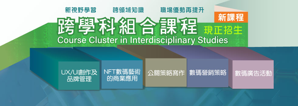 Course Cluster in Interdisciplinary Studies