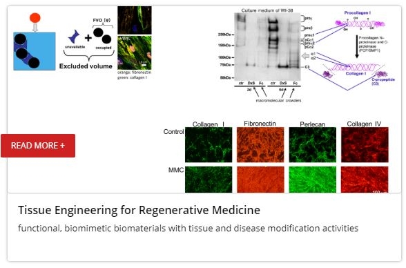 Tissue Engineering for Regenerative Medicine