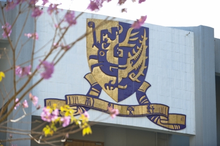 CUHK Professoriate, Teaching & Research Academic Posts