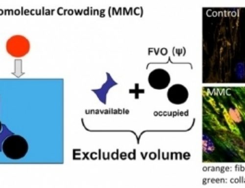 Tissue Engineering for Regenerative Medicine