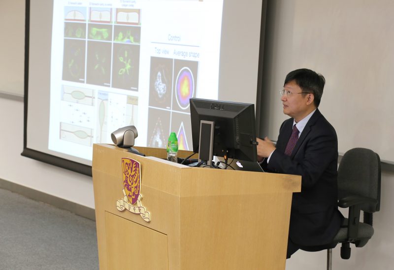 Seminar on Liver Tissue Engineering and Regenerative Medicine