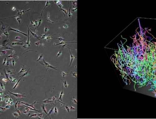 Label-free Cell Analysis