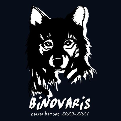 Binovaris 202021