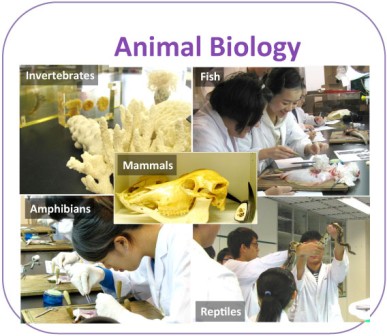 Animal Biology