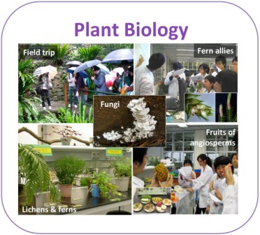 Plant Biology