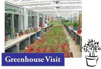 Greenhouse