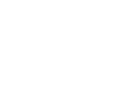 DLR