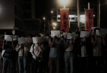 Greenhand Protestors: Chinese Students Stood Out amid Fear