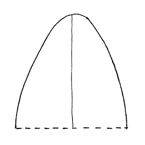 Obtuse:|:鈍圓的:|:钝圆的