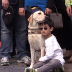Why It’s So Hard to Train Guide Dogs in Hong Kong