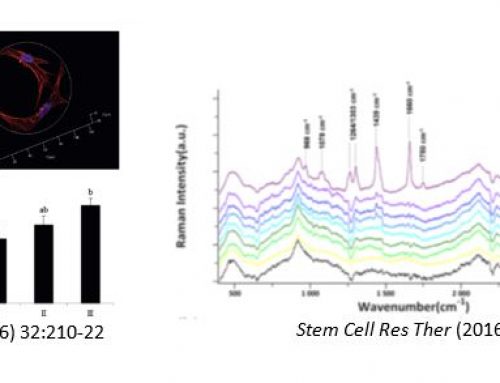 Induction of MSC Differentiation by microenvironments and mechanical stimuli for tissue regeneration