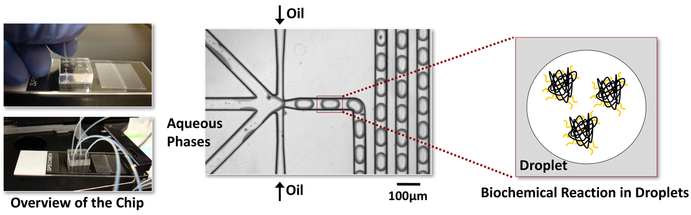 Lab-on-a-Chip