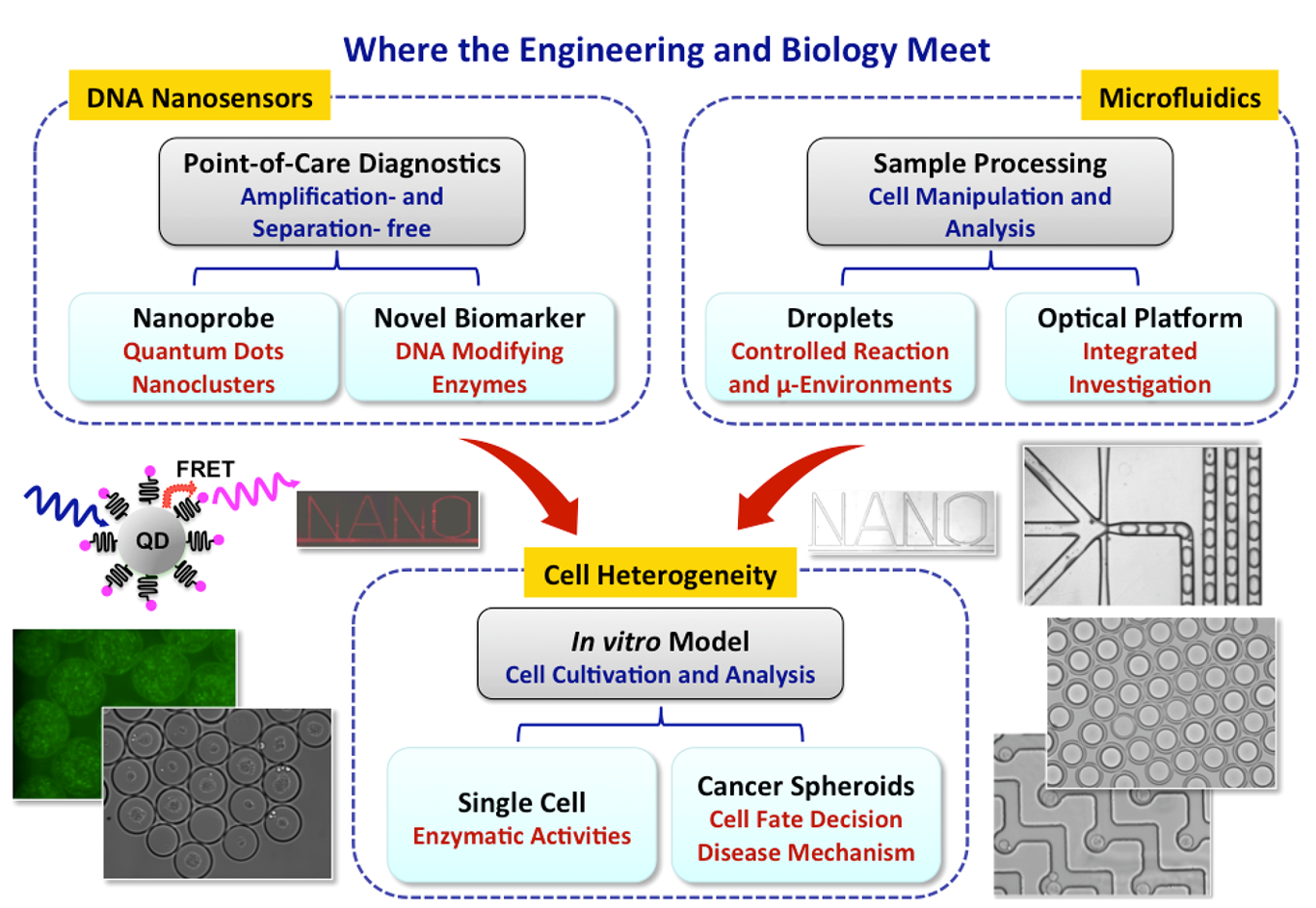 Molecular Imaging