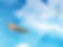 5th Book Fest_icon.png
