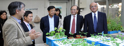 Plant and Agricultural Biotechnology