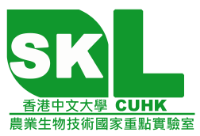 CUHK