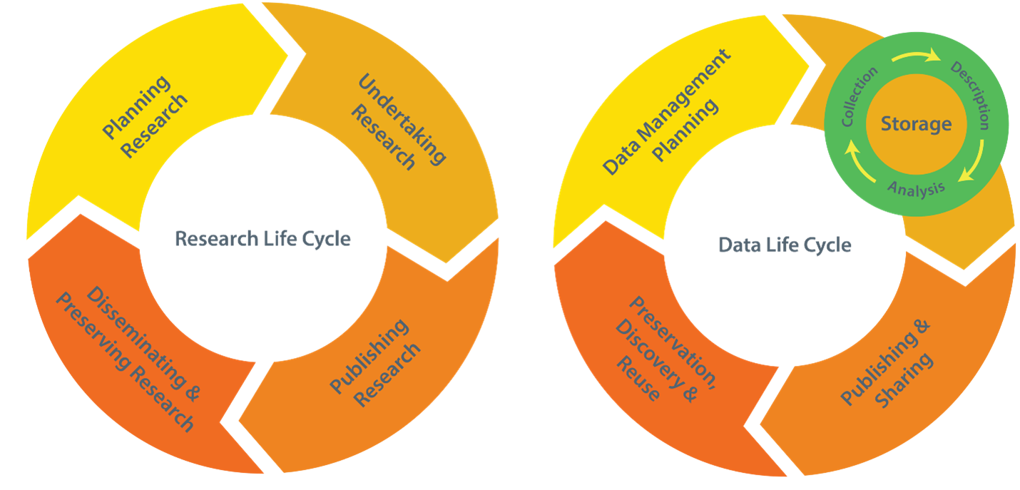 Research Life Cycle and Data Life Cycle
