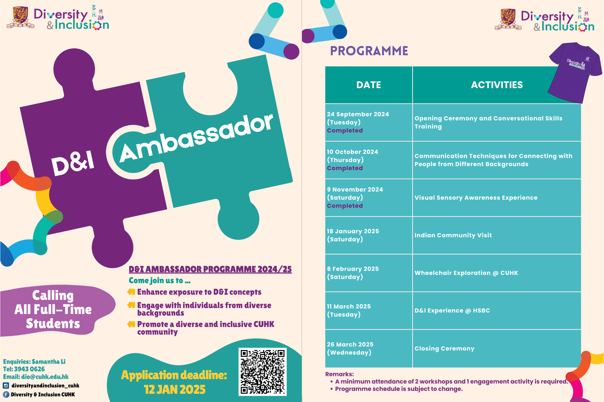 D&I Ambassador Programme