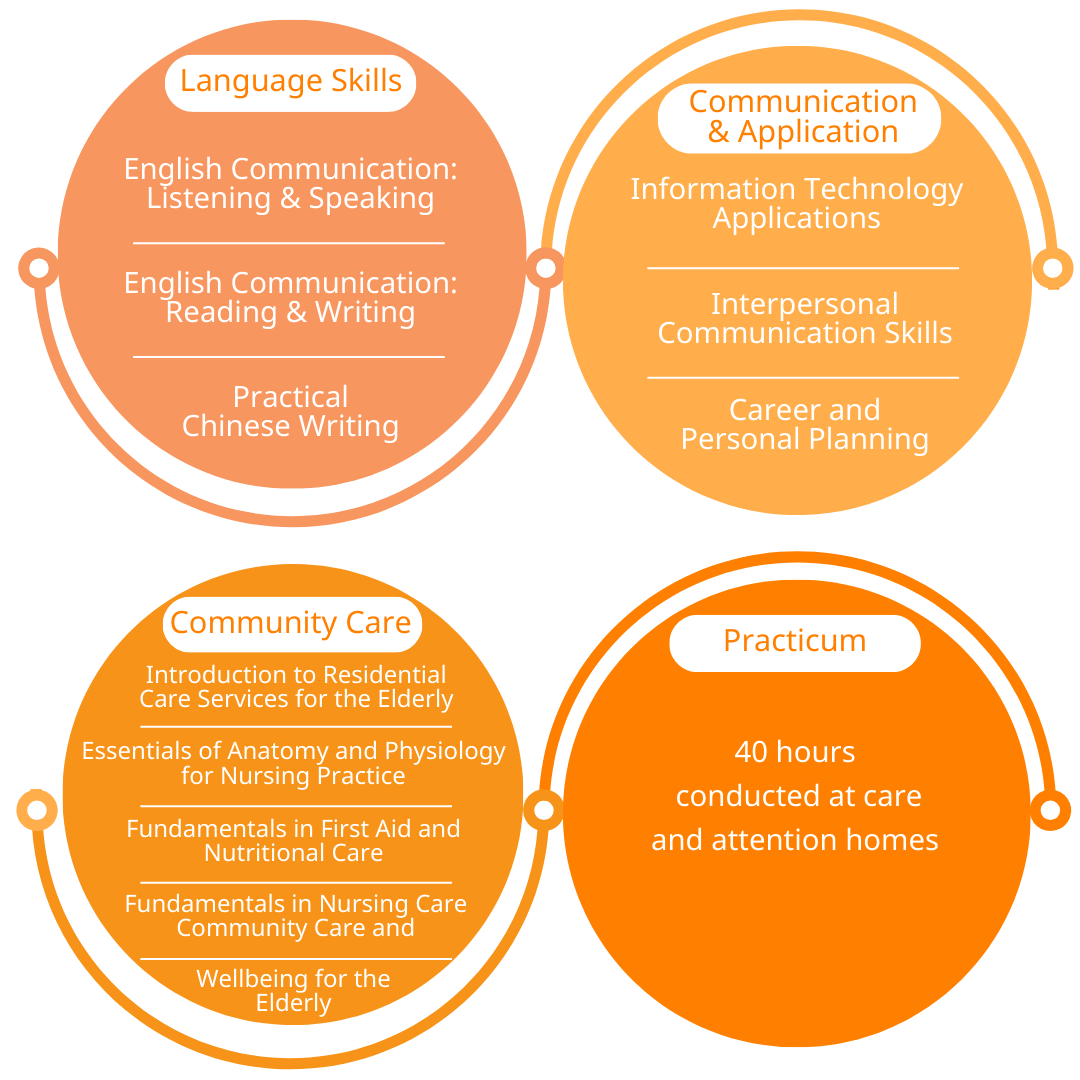 DCC curriculum