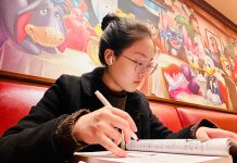 Doing Self-study in a Theme Park