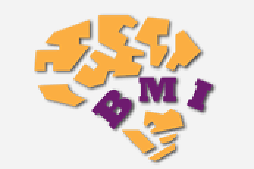 Brain and Mind Institute